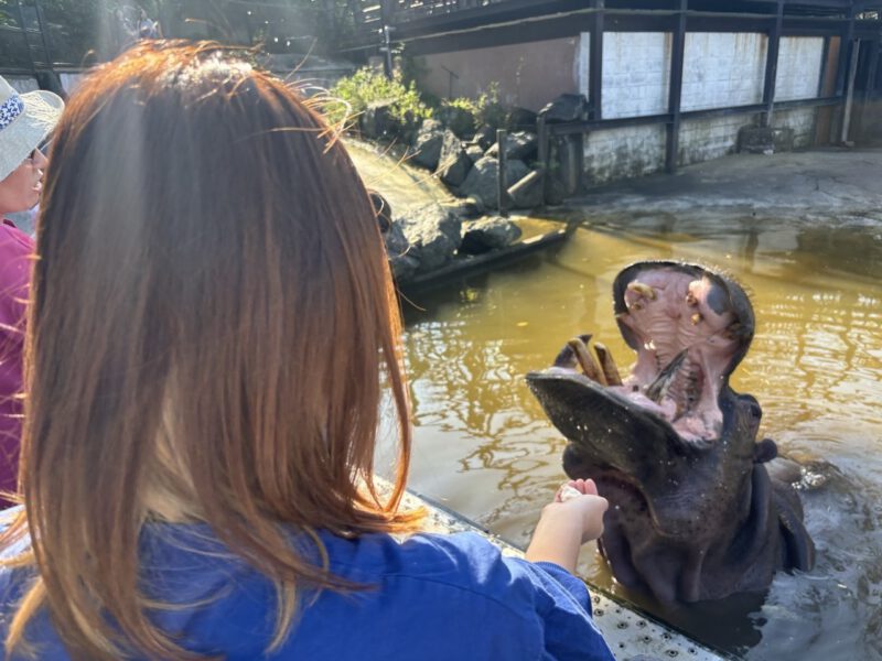 カバさんに初餌やり